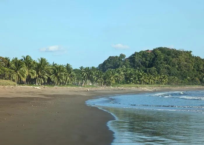 Hotel Spirit Of Jungle 3*