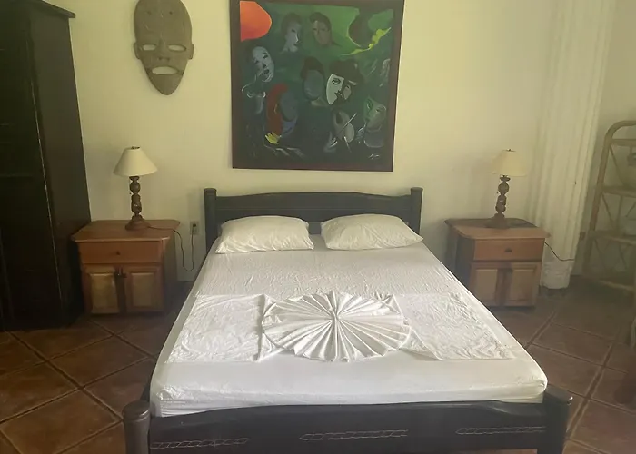 Spirit Of Jungle Hotel Samara