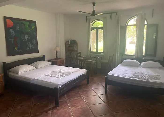 Hotel Spirit Of Jungle