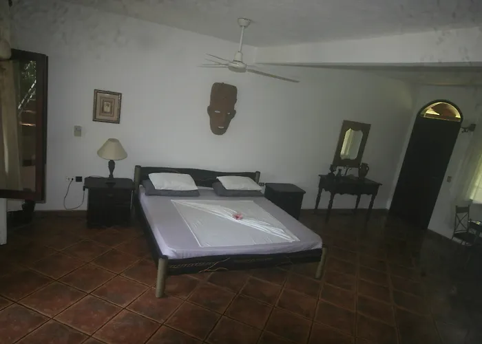Spirit Of Jungle Hotel Samara