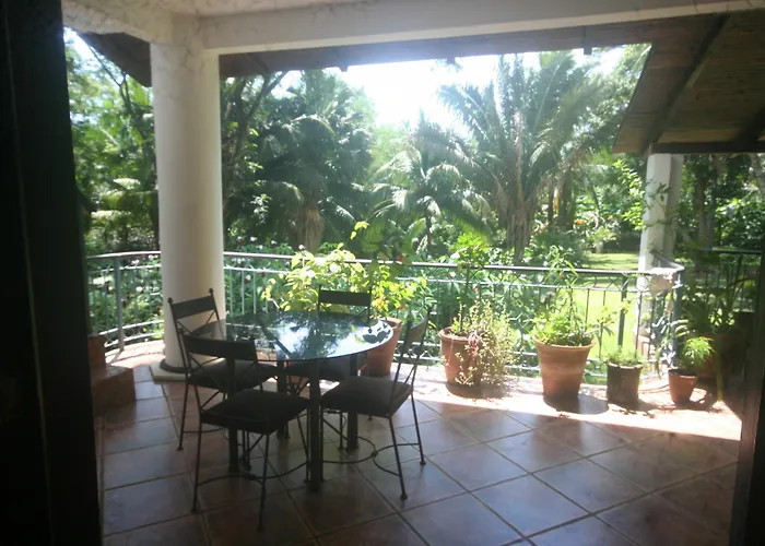 Spirit Of Jungle Hotel