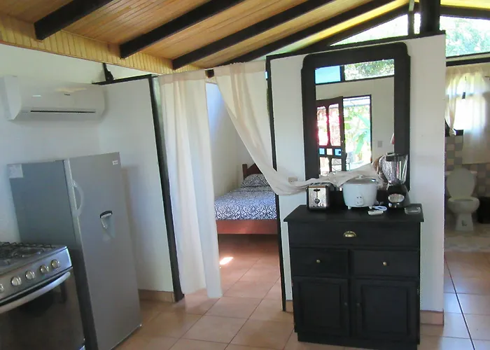 Spirit Of Jungle Hotel